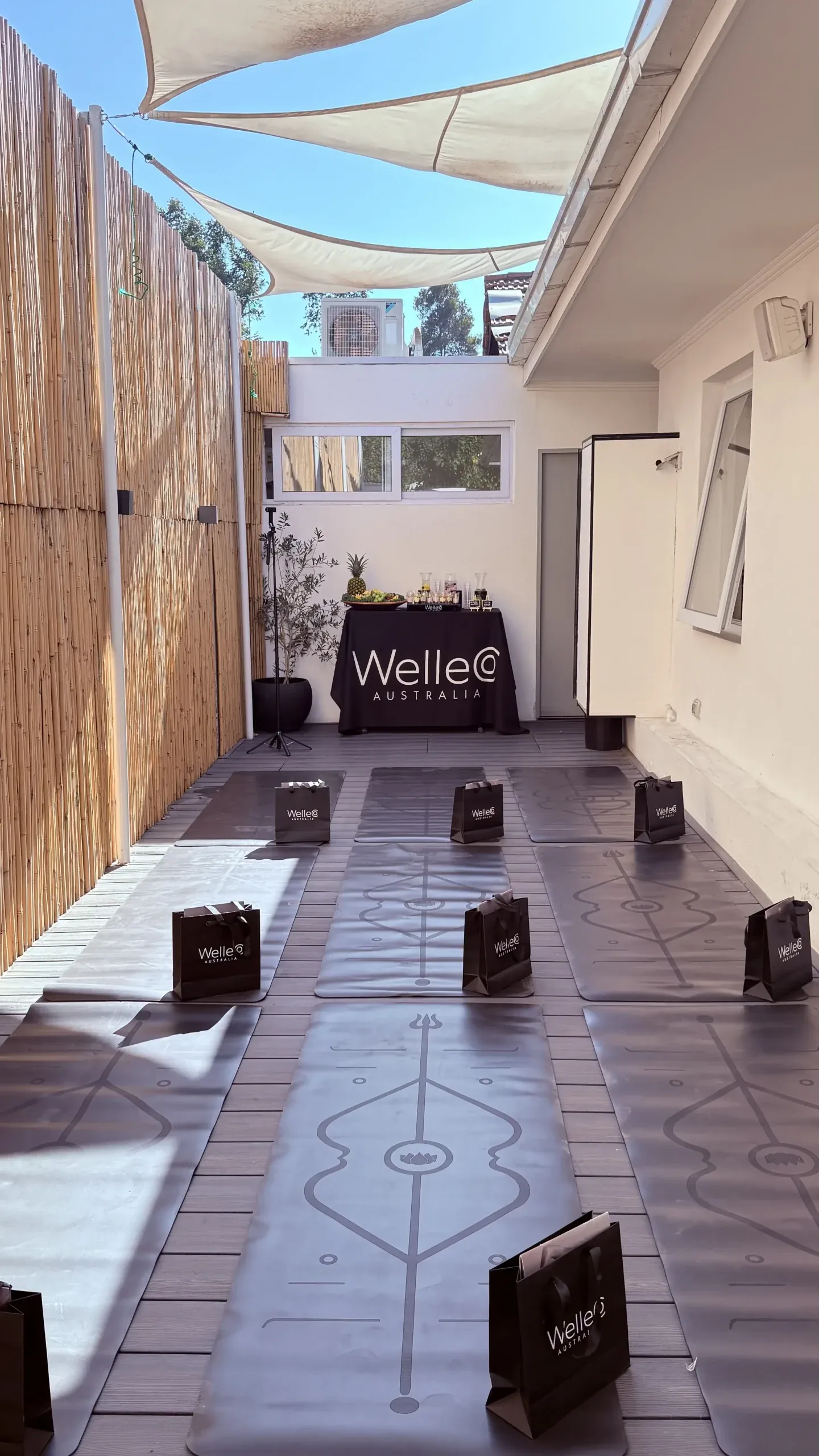 Evento Wellco 2